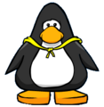 The cape on a player card.