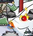 The Black Puffle spotted at the Dojo Courtyard.