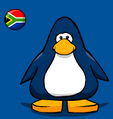 The flag on a player card.