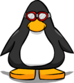The Swim Goggles on a player card.