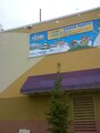 Club Penguin Sign #1
