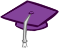Graduation Hat School