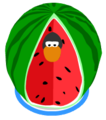 The Watermelon Costume in-game.