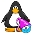 The Princess Cap seen on a player card.