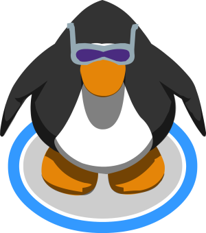 IndigoSunglasses1.PNG