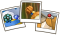 Thumbnail for version as of 16:01, 28 August 2024