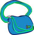 Skate Satchel Secret item