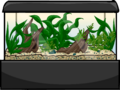Large Aquarium