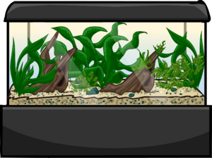 LargeAquarium.PNG
