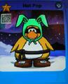 Hat Pop, Bunny Ninja