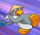 Sensei playing Card Jitsu.