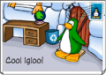 The Cool Igloo postcard.