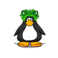 The Raccoon Puffle Cap on a player card.
