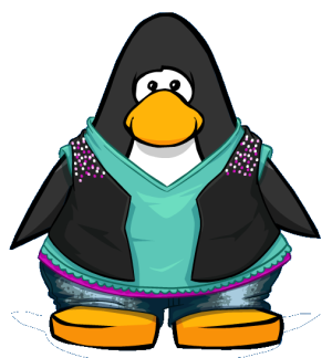 SequinedRockerVest2.png