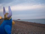 A Viking Penguin by the Beach.