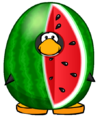 The Watermelon Cosutme on a player card.