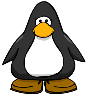 BrownShoes1.png
