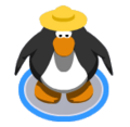 The Straw Hat in-game.