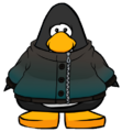 The Kind of a Big Teal Coat on a player card.