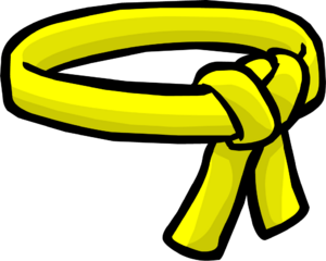 YellowBelt.png